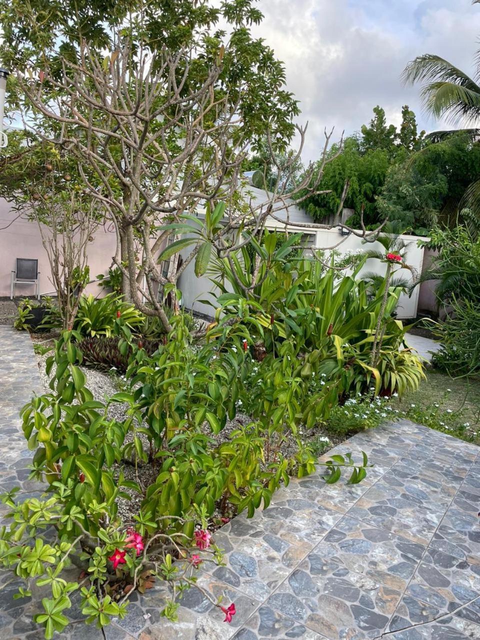 Villa Almeida A 500M De La Plage Courcelles 外观 照片